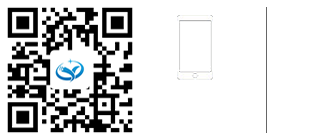 移動(dòng)端